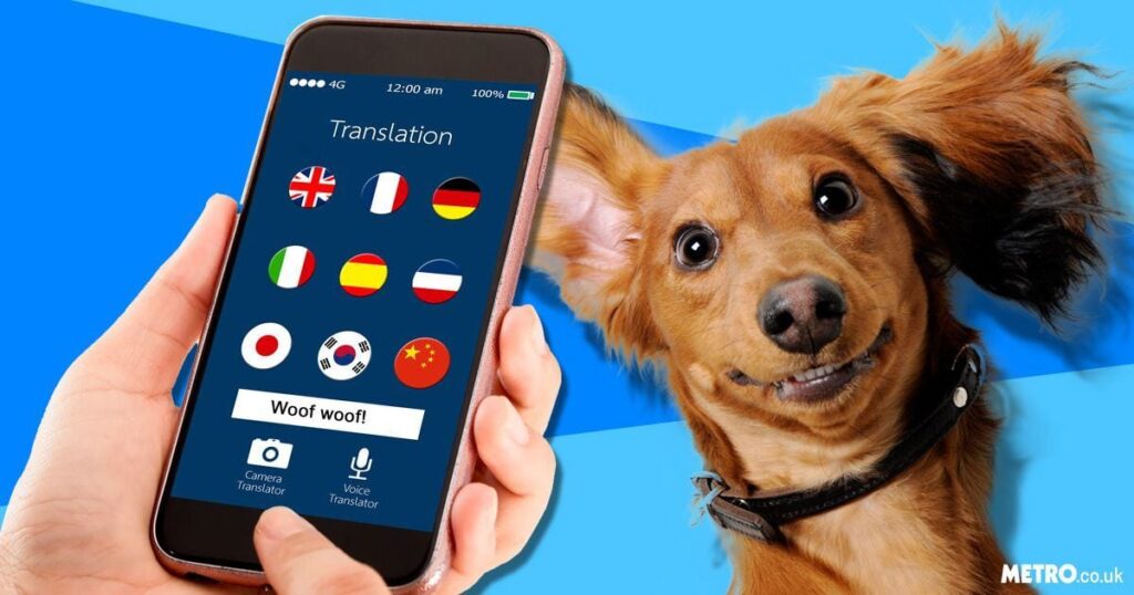 translator device for pets (unique tech devices)