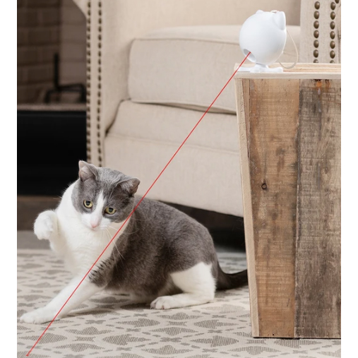 cat playing with an interactive laser toy